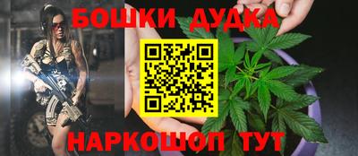 гидропоника Краснознаменск