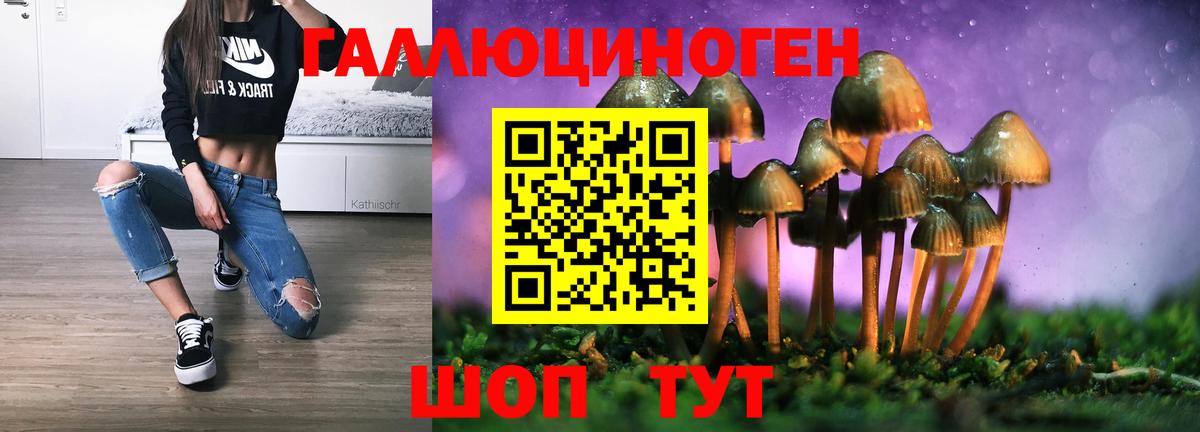 Псилоцибиновые грибы GOLDEN TEACHER  Сургут 