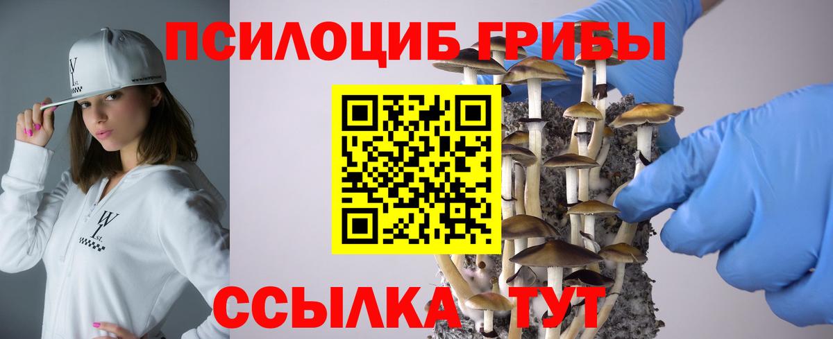 Сургут  Псилоцибиновые грибы GOLDEN TEACHER  Вход с VPN  Псилоцибиновые грибы мицелий 