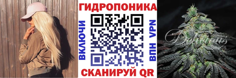 Шишки марихуана гибрид  продажа наркотиков  Сургут 